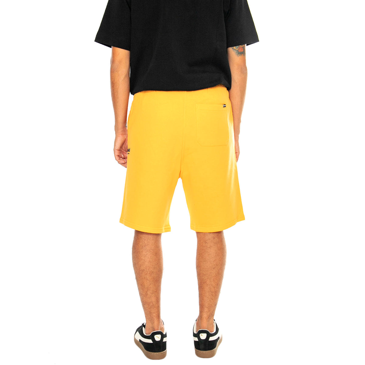 Hudson Script Sweat Short Apricot - Bermuda in Felpa Uomo Arancioni PFD0361-C03 . PENFIELD 