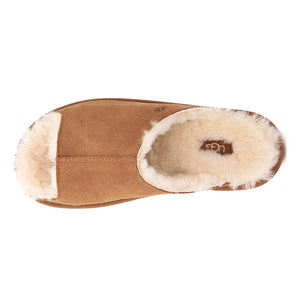 UGG® W GREENPORT SLIDE CHESTNUT - Sandali Donna Marroni W1167610-CHE . UGG 