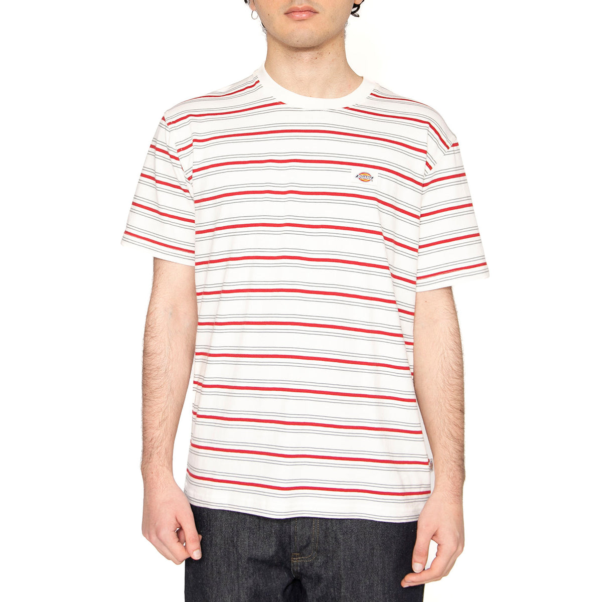 Lewistown Stripe SS Tee Egret - Maglietta Girocollo Uomo Multicolore DK0A4Z8SC481 . DICKIES 