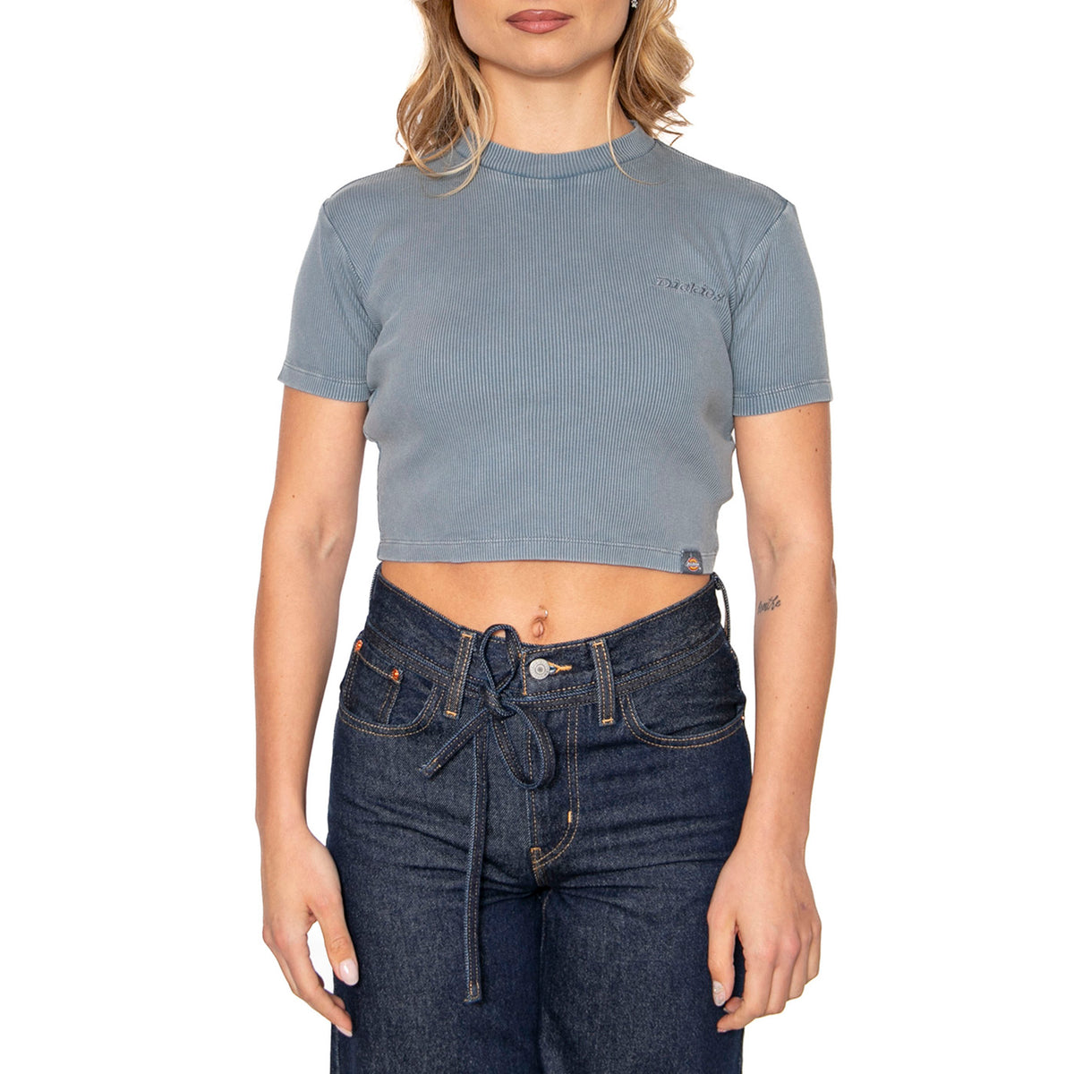 Plentywood Tee SS Stormy Weather - Maglietta Girocollo Donna Blu DK0A866FG701 . DICKIES 