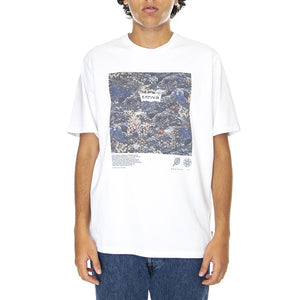 Relaxed Fit Tee Bw Decay - Maglietta Girocollo Uomo Bianca 16143-0123  LEVIS 