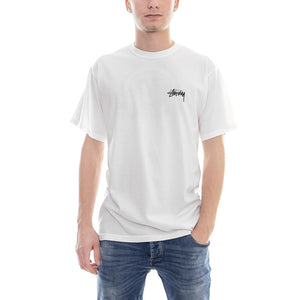 ACE PIG. DYED TEE 1904236 . STUSSY 