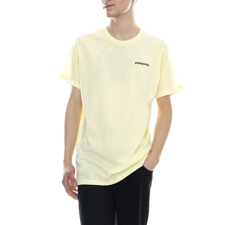  39151-REYE  PATAGONIA 