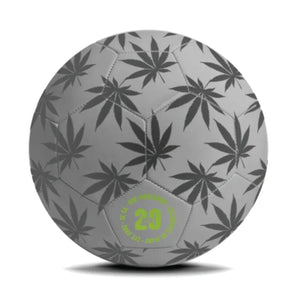 PLANTLIFE SOCCER BALL - Palla da Gioco Multicolore AC00643-REFLC . HUF 
