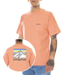  38511-COHC  PATAGONIA 