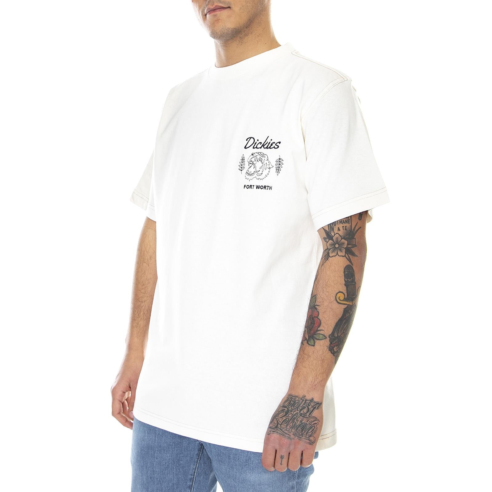  DK0A4X9NECR1  DICKIES 