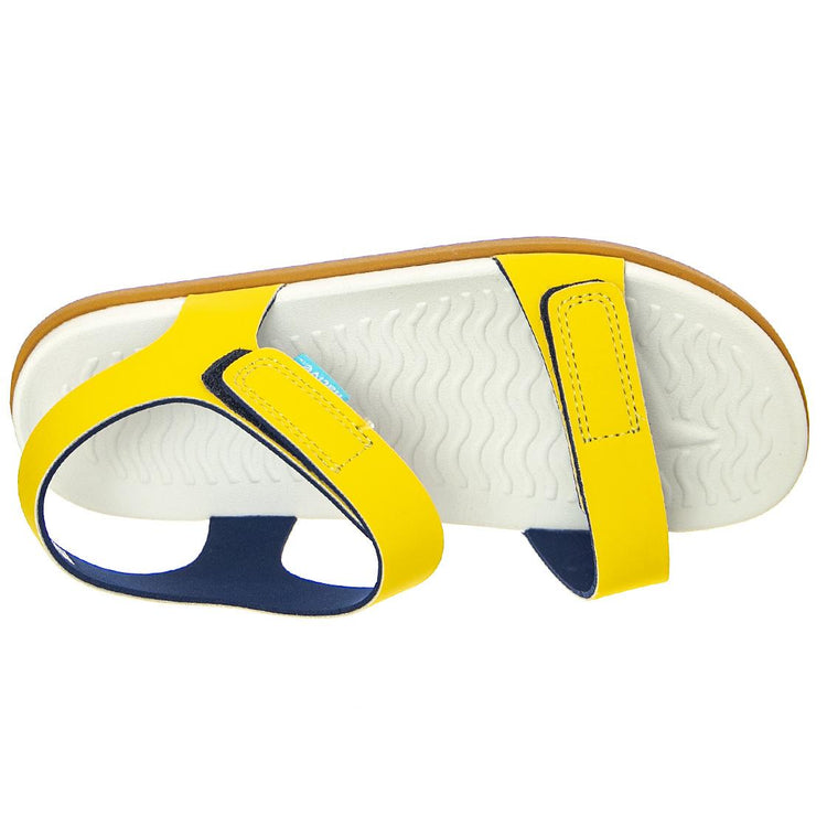  62105500-7527  NATIVE 