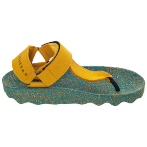  P018077005  ASPORTUGUESAS 