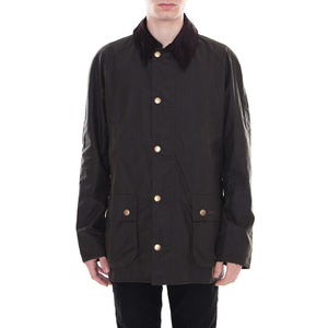  BACPS0819-OL71FW18  BARBOUR 