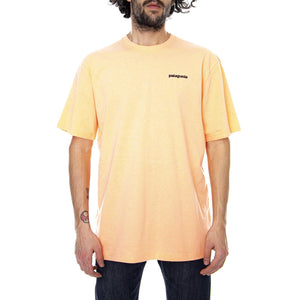  39165-PCHS  PATAGONIA 