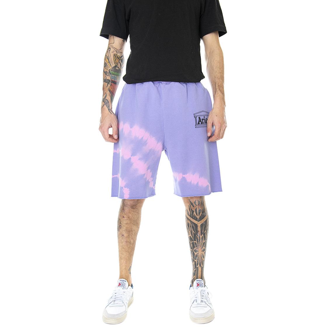  SRAR30202-LLC  ARIES 