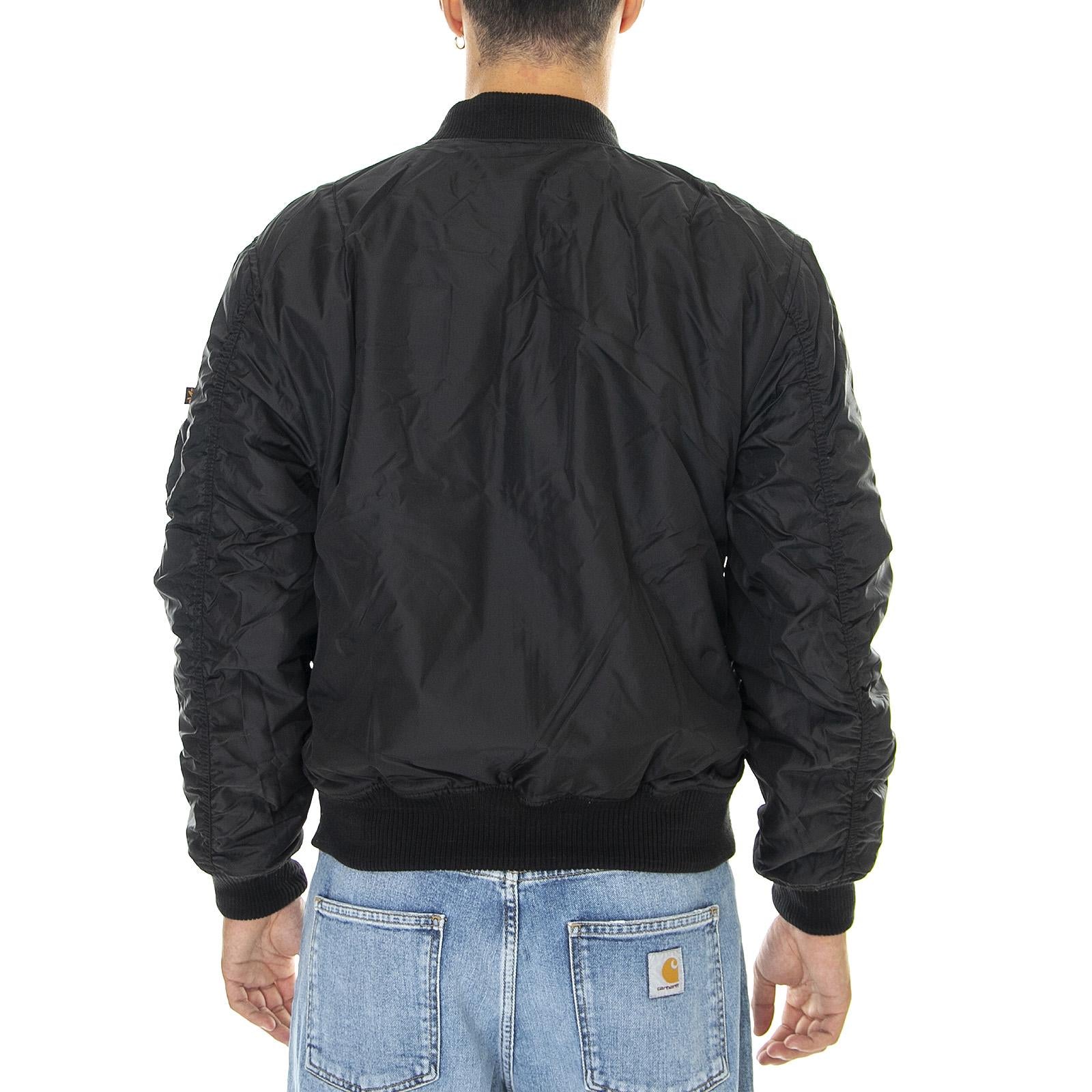  198106-241  ALPHA INDUSTRIES 