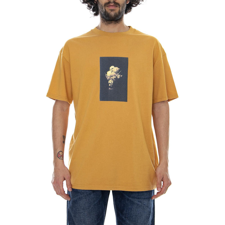  GB01810025-MSTD  GLOBE 