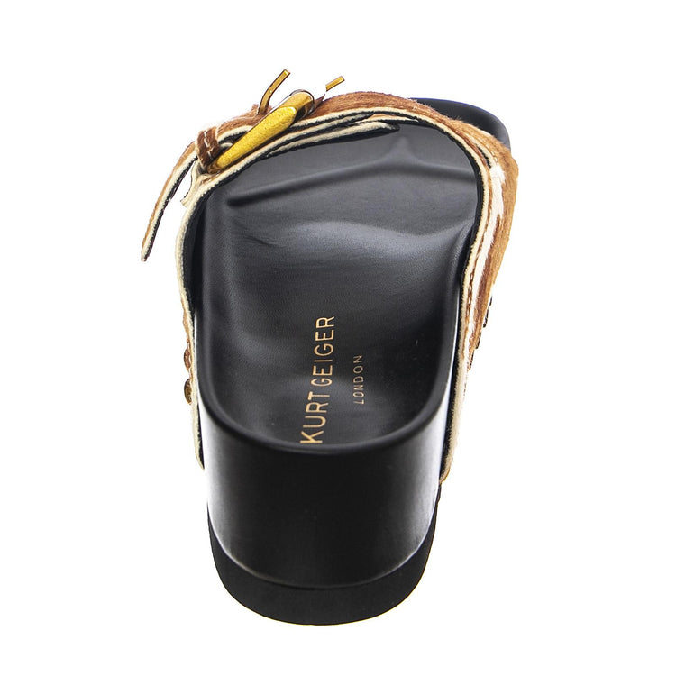  KGSDEVEN-70  KURT GEIGER 