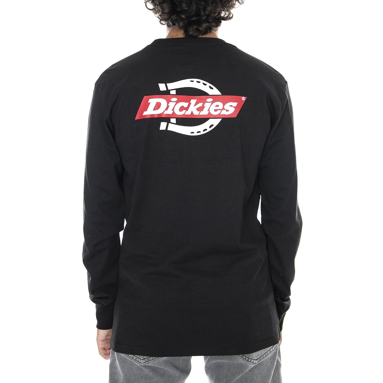  DK0A4X86BLK1  DICKIES 