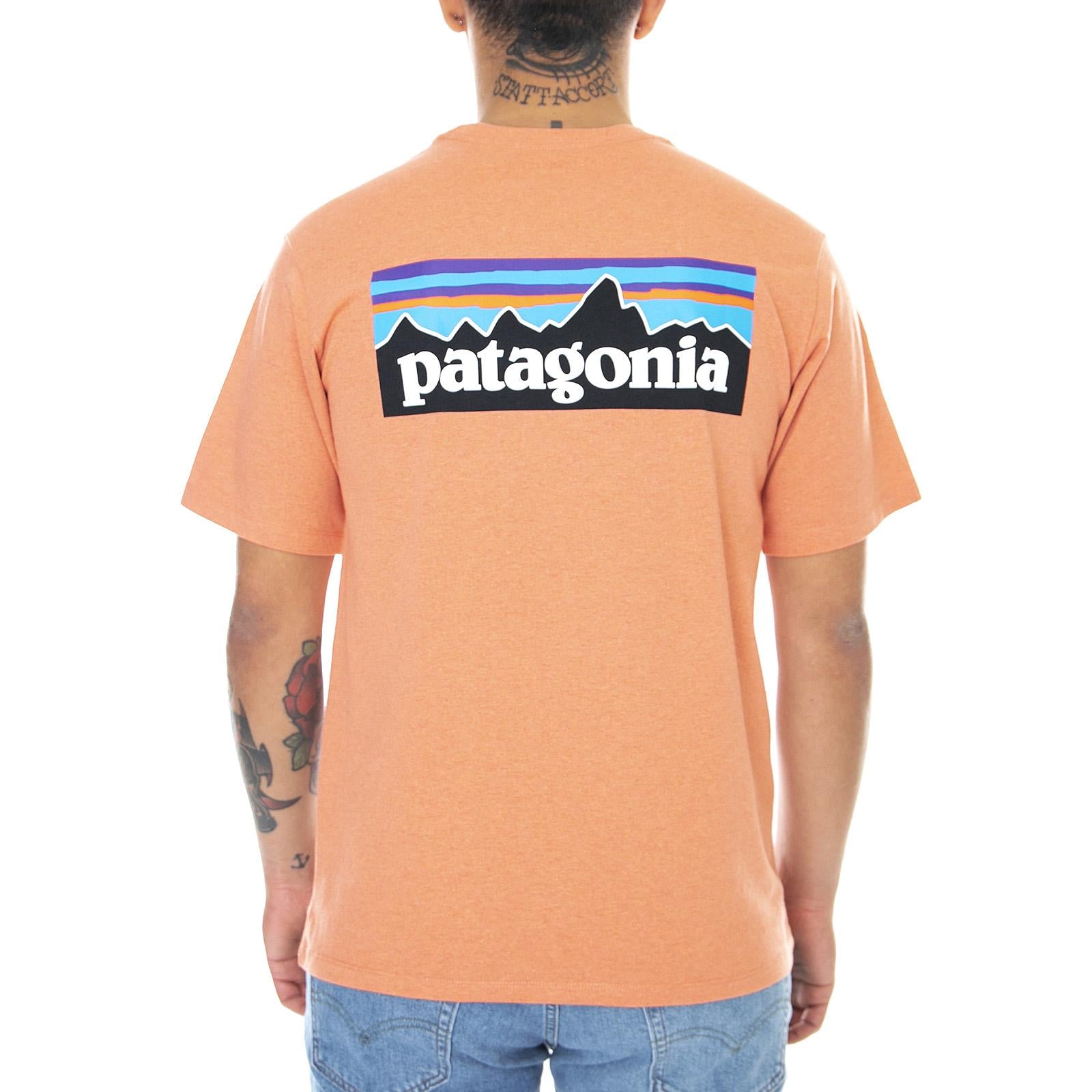  38504-COHC  PATAGONIA 