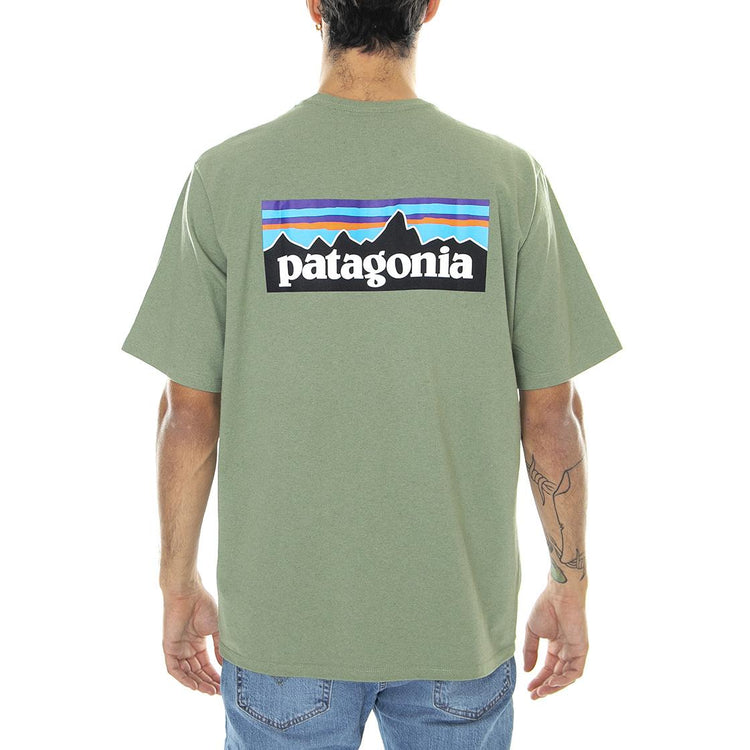  38504-SEGN  PATAGONIA 