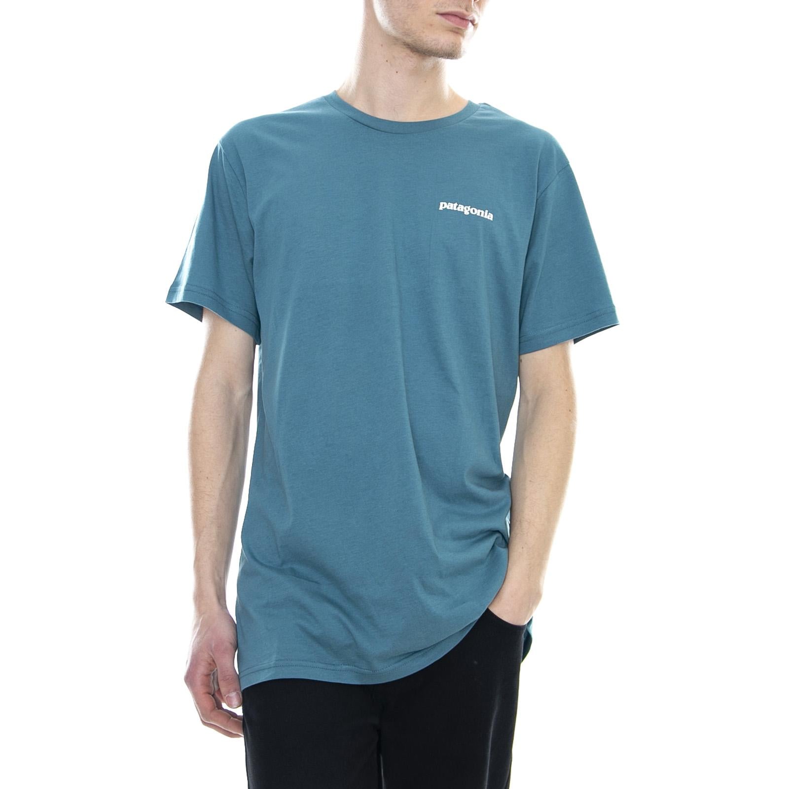  39151-TATE  PATAGONIA 