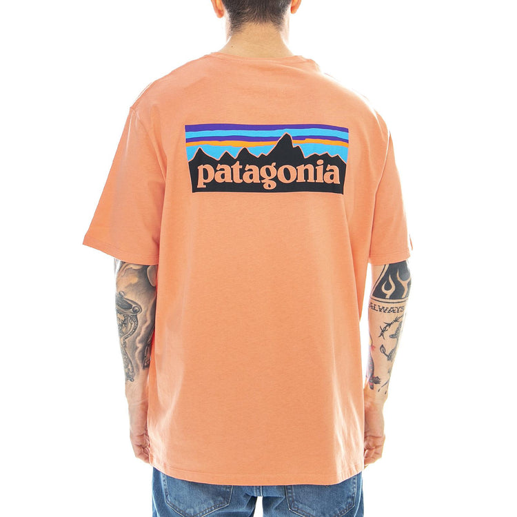  38535-MEMN  PATAGONIA 