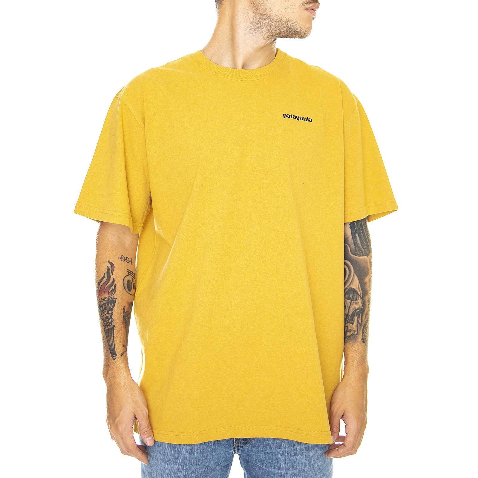  39174-GPGO  PATAGONIA 