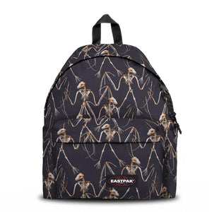 PADDED PAK R DRACUL BONE EK62001Q  EASTPAK 