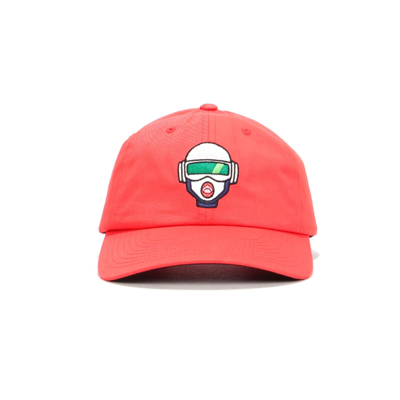  PRACP10029-421 . PRIMITIVE 