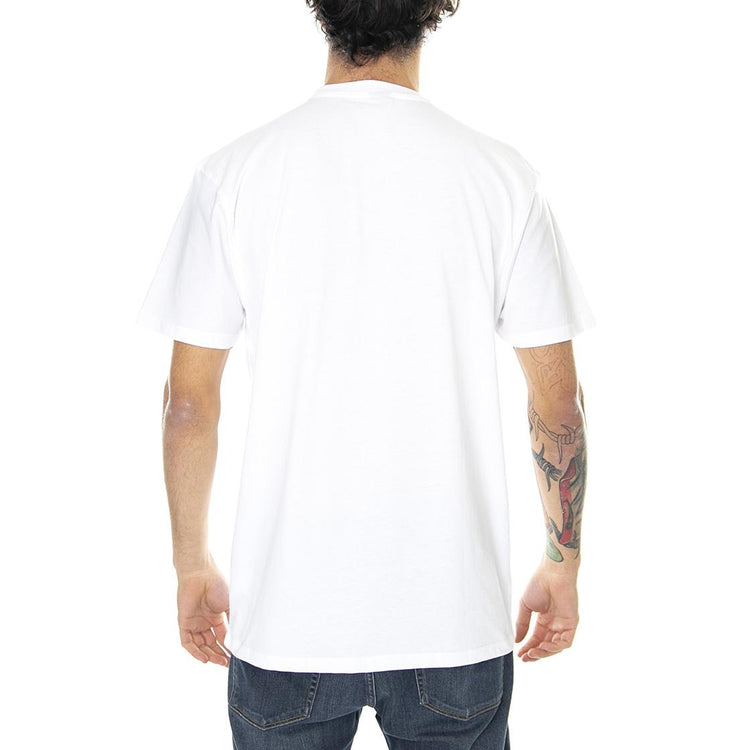  LIOVDOTS-WHT  SANTA CRUZ 