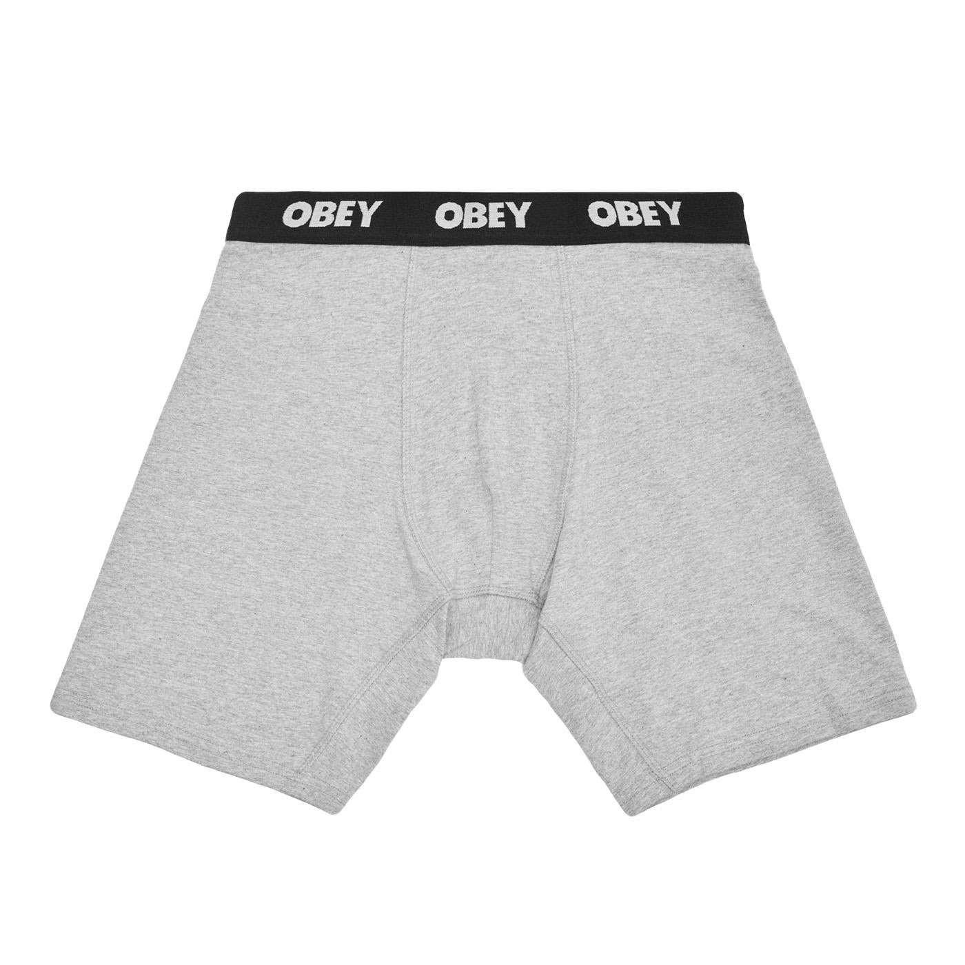 Established Work 2 Pack Boxers Ash Grey - Set da Due Boxer Grigi 100090000 AGRY OBEY 