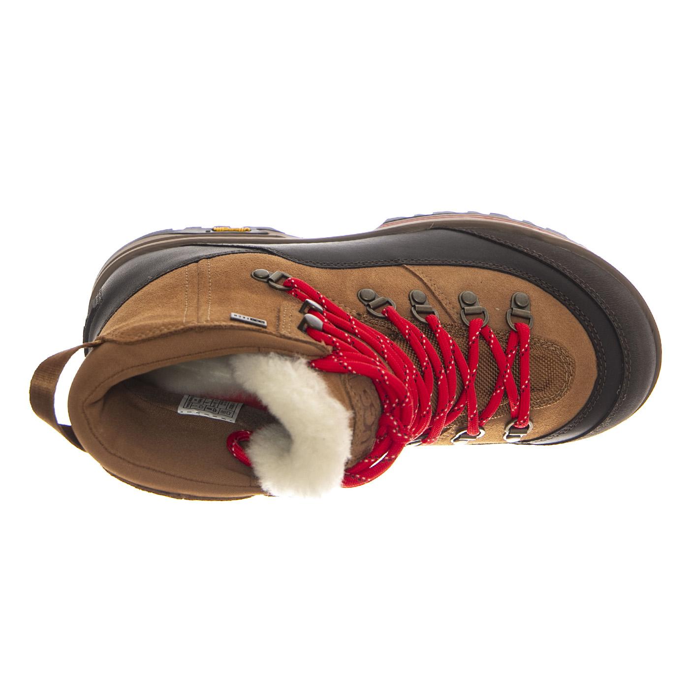 W Brecken Lace Chestnut - Scarpe Donna Marroni UGSBRLCCHE1158221W  UGG 