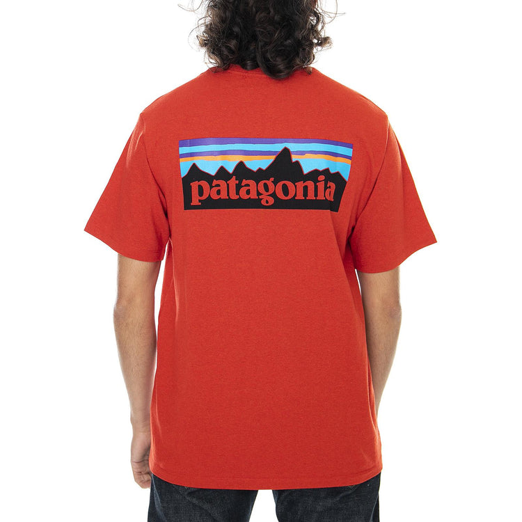  38504-HTE  PATAGONIA 