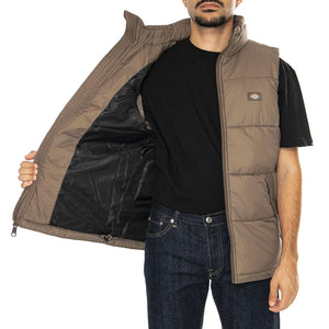 Waldenburg Vest Mushroom - Giacca Smanicata Uomo Marrone DK0A4Y2KMR11  DICKIES 