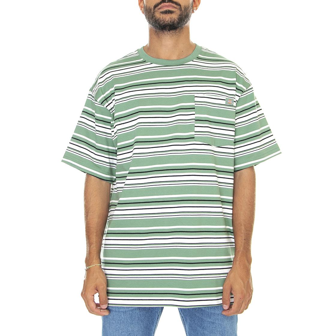 Westover Stripe Tee Dark Ivy - Maglietta Girocollo Uomo Verde / Multicolore DK0A4Y1PC971  DICKIES 