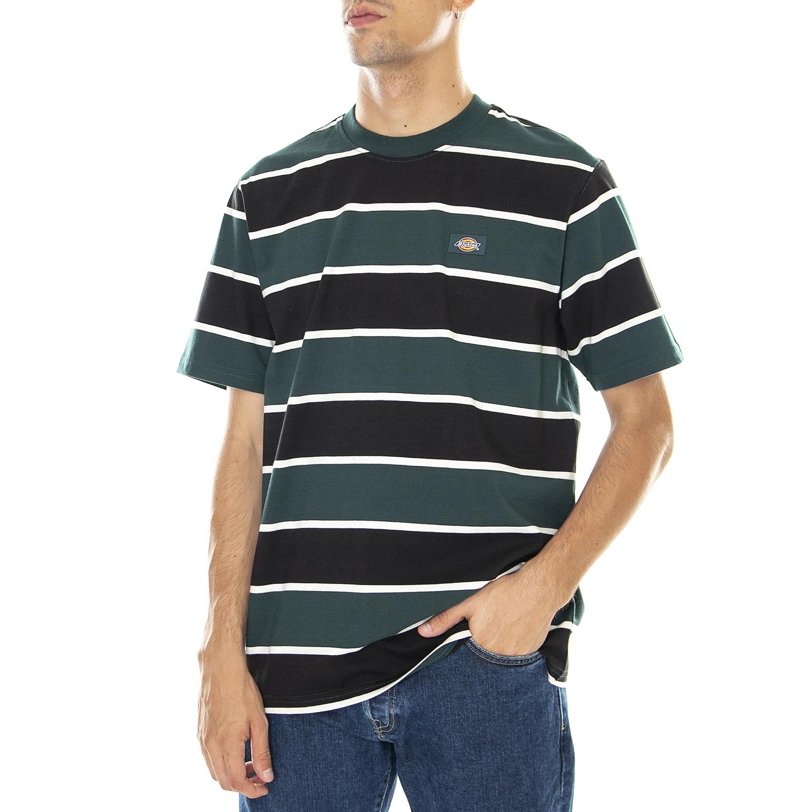  DK0A4XISB851  DICKIES 