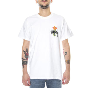  1904633-WHIT  STUSSY 