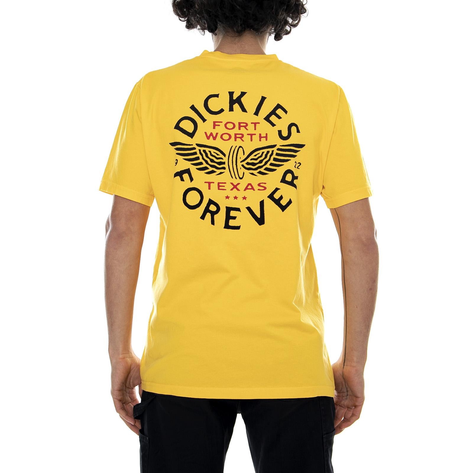  06 210640-CUS  DICKIES 
