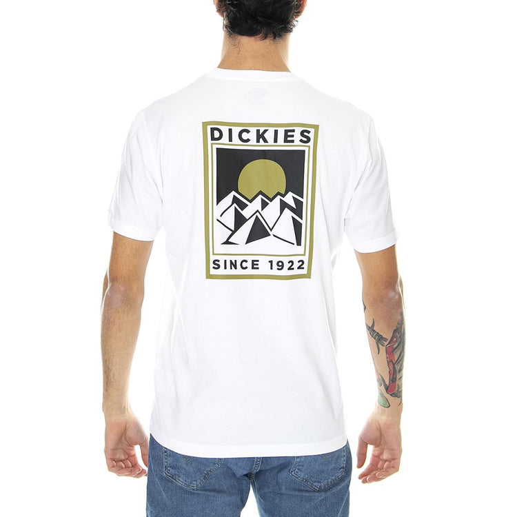  DK0A4XO5WHX1  DICKIES 