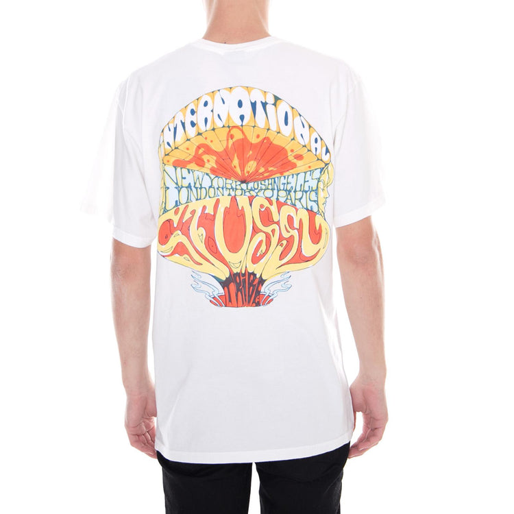  1904277-NATURAL  STUSSY 