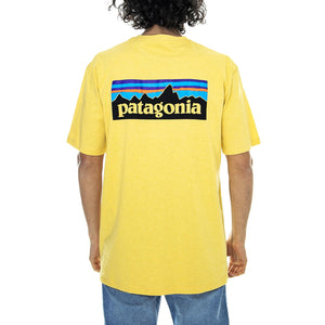  39174-SUYE  PATAGONIA 