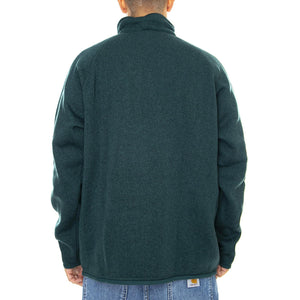  25523-PIGR  PATAGONIA 