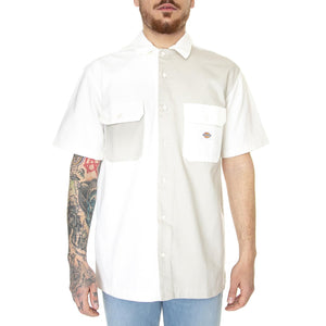 Eddyville Assorted Colour - Camicia Maniche Corte Uomo Multicolore DK0A4YBDAS01  DICKIES 