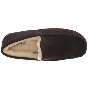 Ascot Espresso - Scarpe Uomo Marroni UGMASCESP1101110M  UGG 
