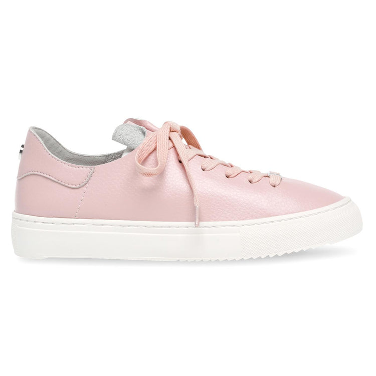 Dorey-Sm Pink - Scarpe Stringate Profilo Basso Donna Rosa SMPDOREY-SM-PIN  STEVE MADDEN 