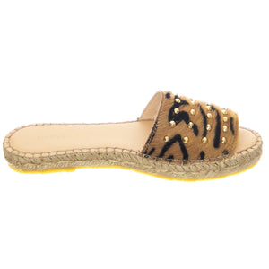  CVSKATCH-36  CARVELA 