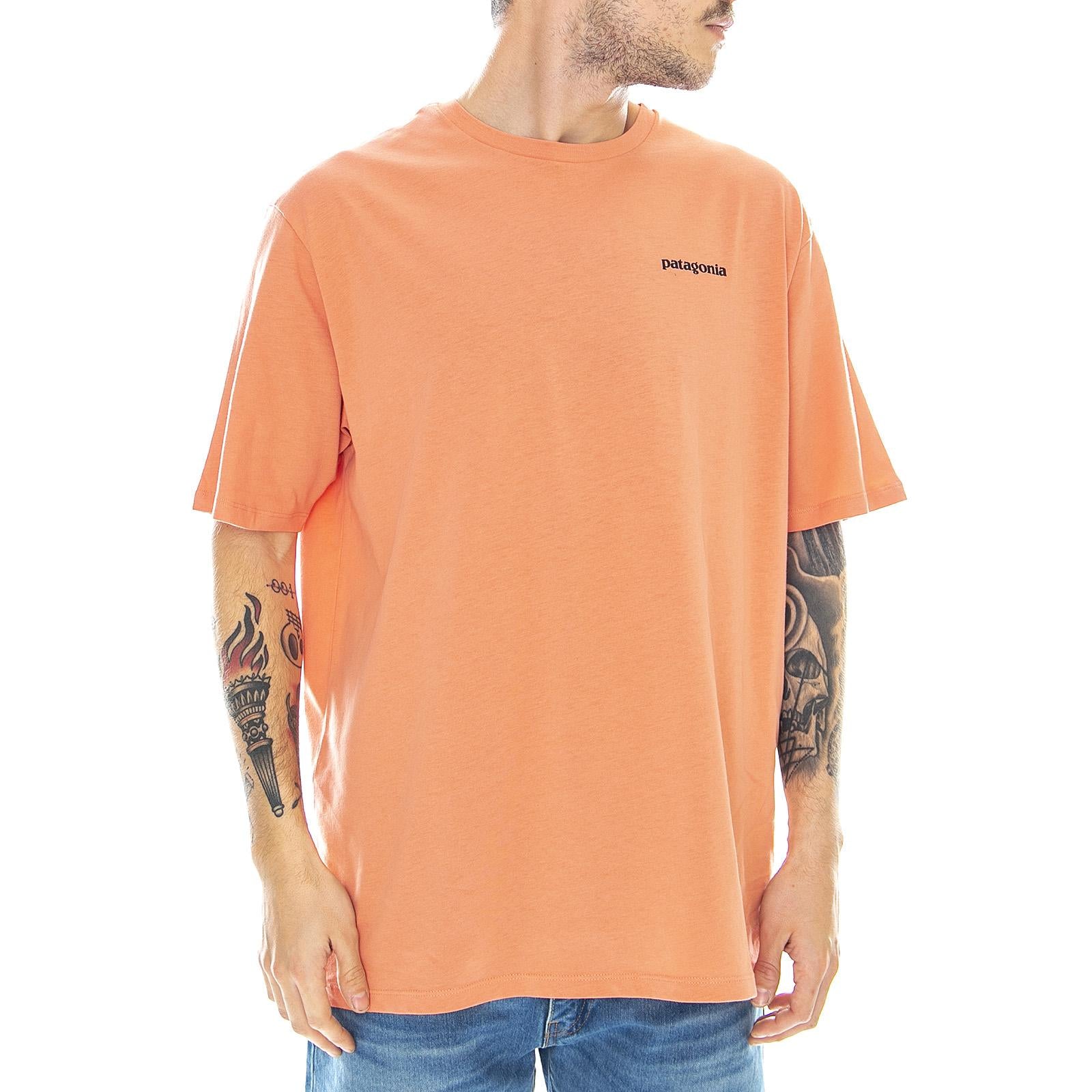  38535-MEMN  PATAGONIA 