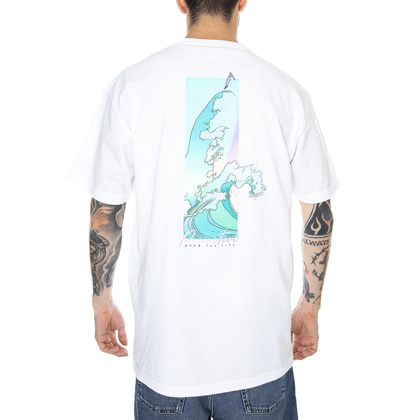  PRASS10741  PRIMITIVE 