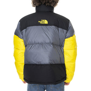  NF0A4QYTSH31  THE NORTH FACE 