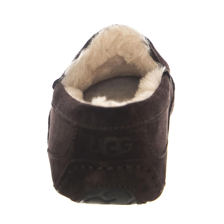 Ascot Espresso - Scarpe Uomo Marroni UGMASCESP1101110M  UGG 