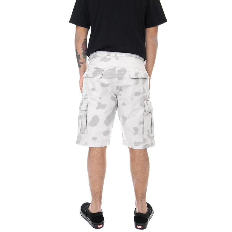  I028035-DSPGD  EDWIN 