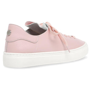 Dorey-Sm Pink - Scarpe Stringate Profilo Basso Donna Rosa SMPDOREY-SM-PIN  STEVE MADDEN 