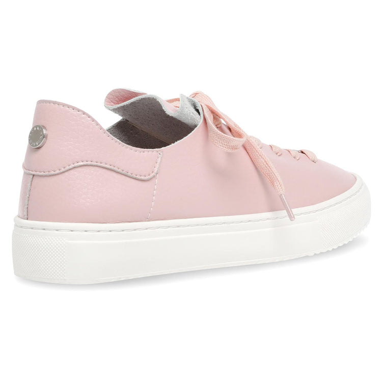 Dorey-Sm Pink - Scarpe Stringate Profilo Basso Donna Rosa SMPDOREY-SM-PIN  STEVE MADDEN 